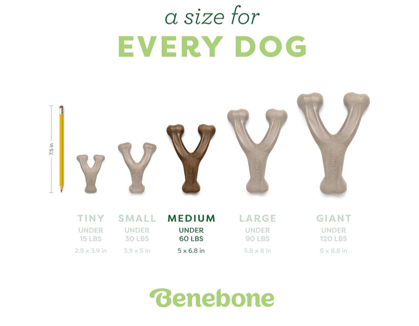 Benebone Wishbone Durable Dog Chew Toy for Aggressive Chewers, Real Bacon, Made in USA, Medium